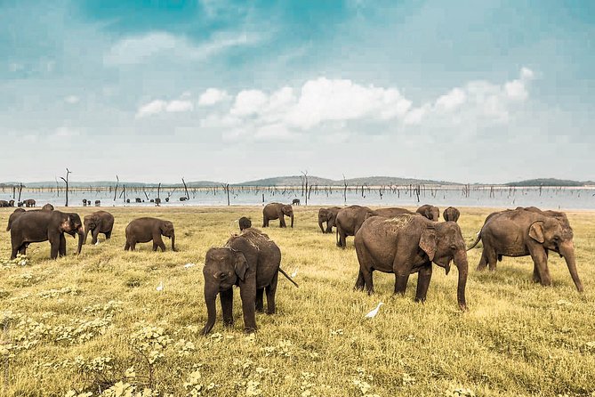 58