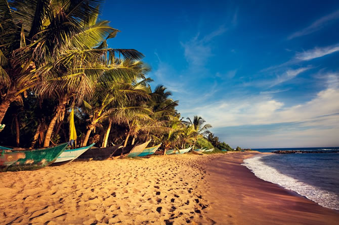 Beach Stay